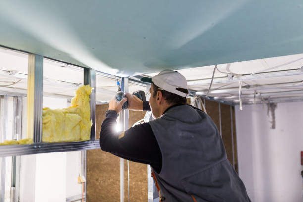 Best Insulation Contractor Near Me  in Paris, IL