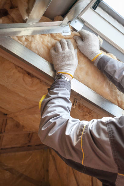 Best Spray Foam Insulation  in Paris, IL