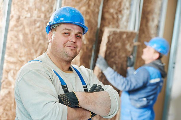 Best Insulation Repair Services  in Paris, IL