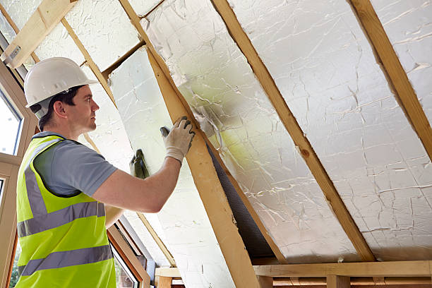 Insulation Inspection Services in Paris, IL